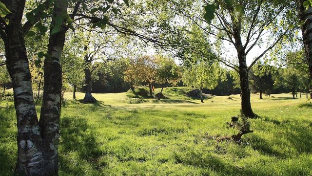 Dalbeattie Golf Club - Image 12