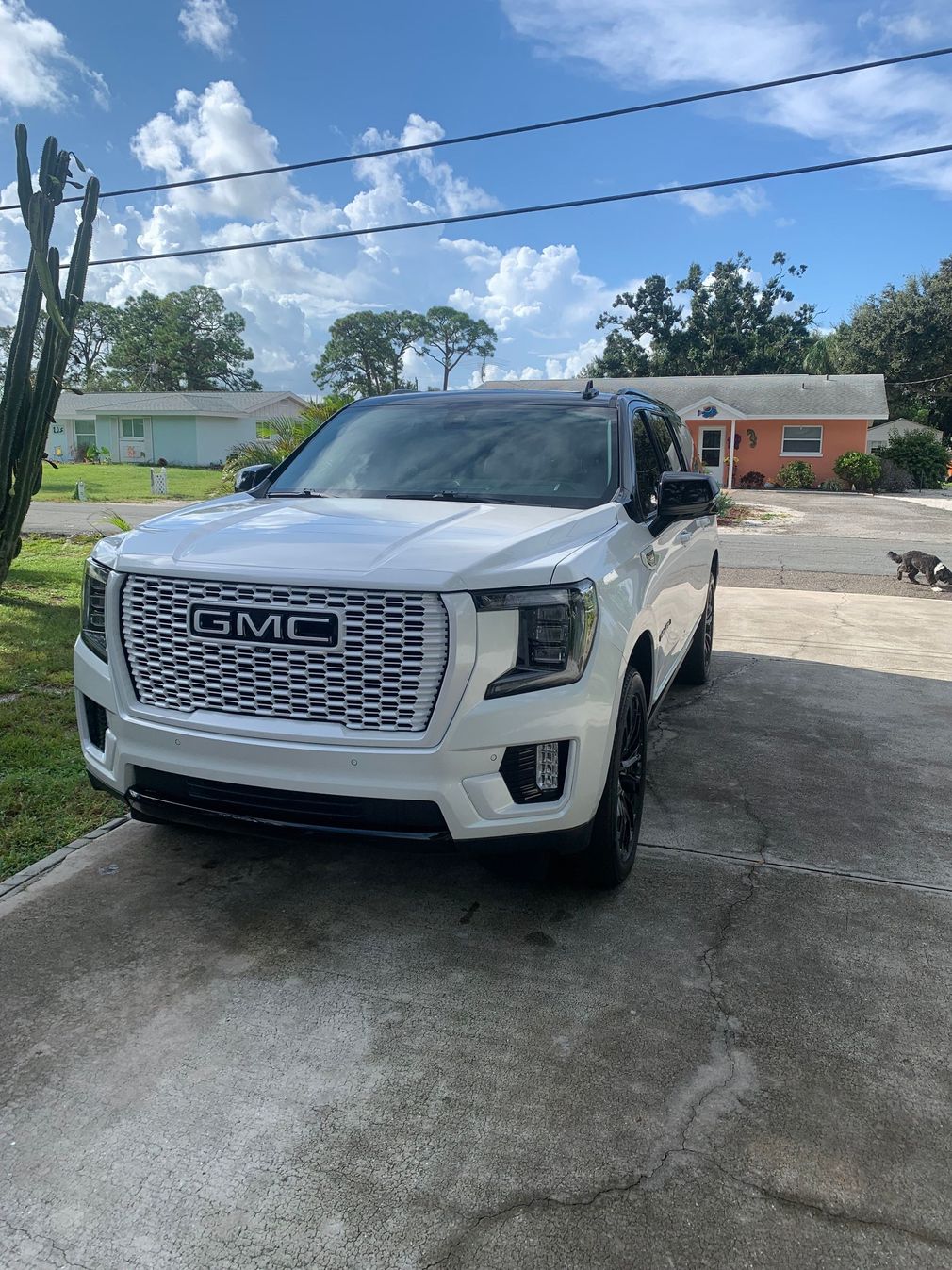 White SUV parked in driveway | Dacey’s Place