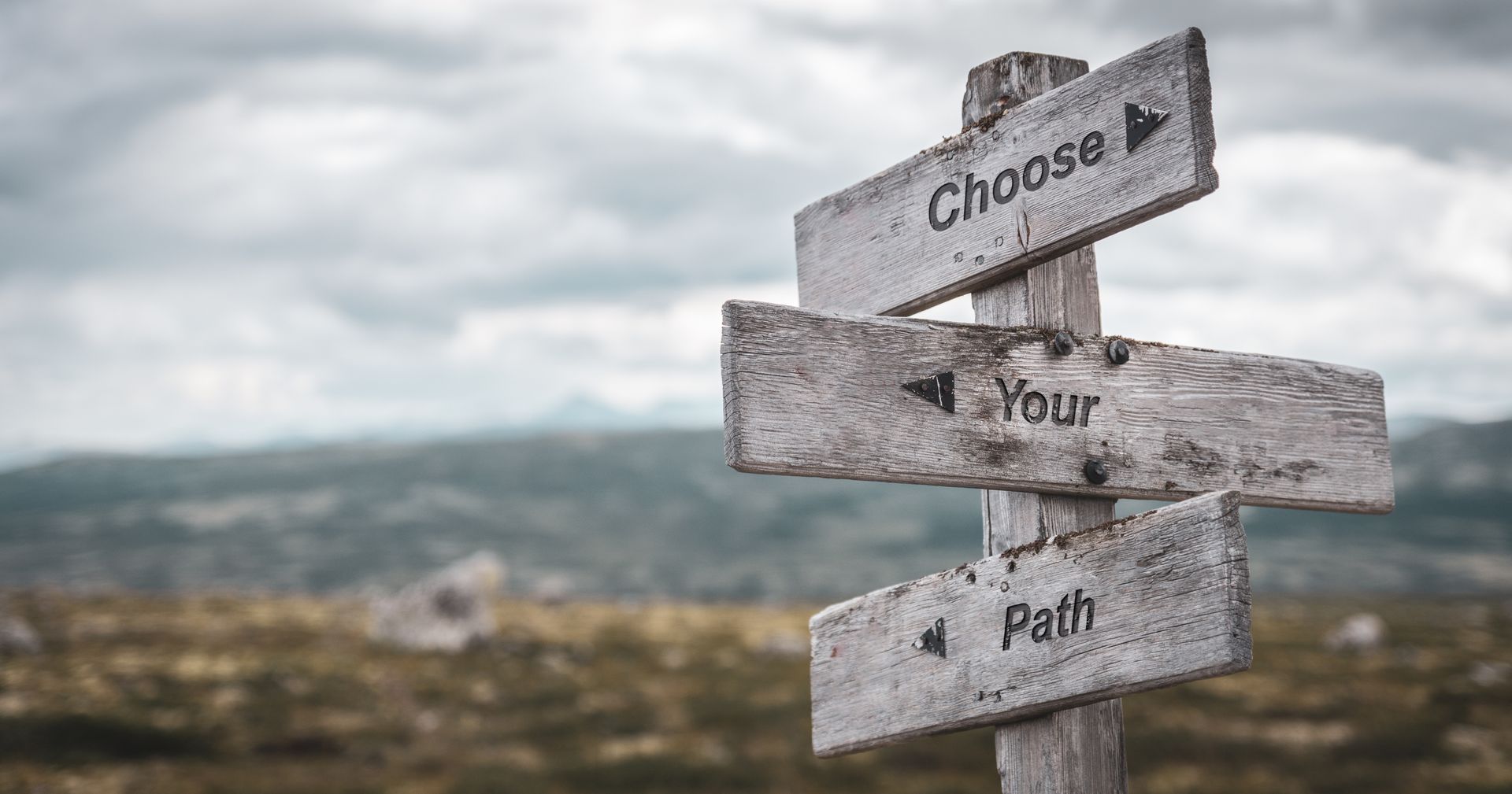 A wooden sign that says `` choose your path '' is in the middle of a field.