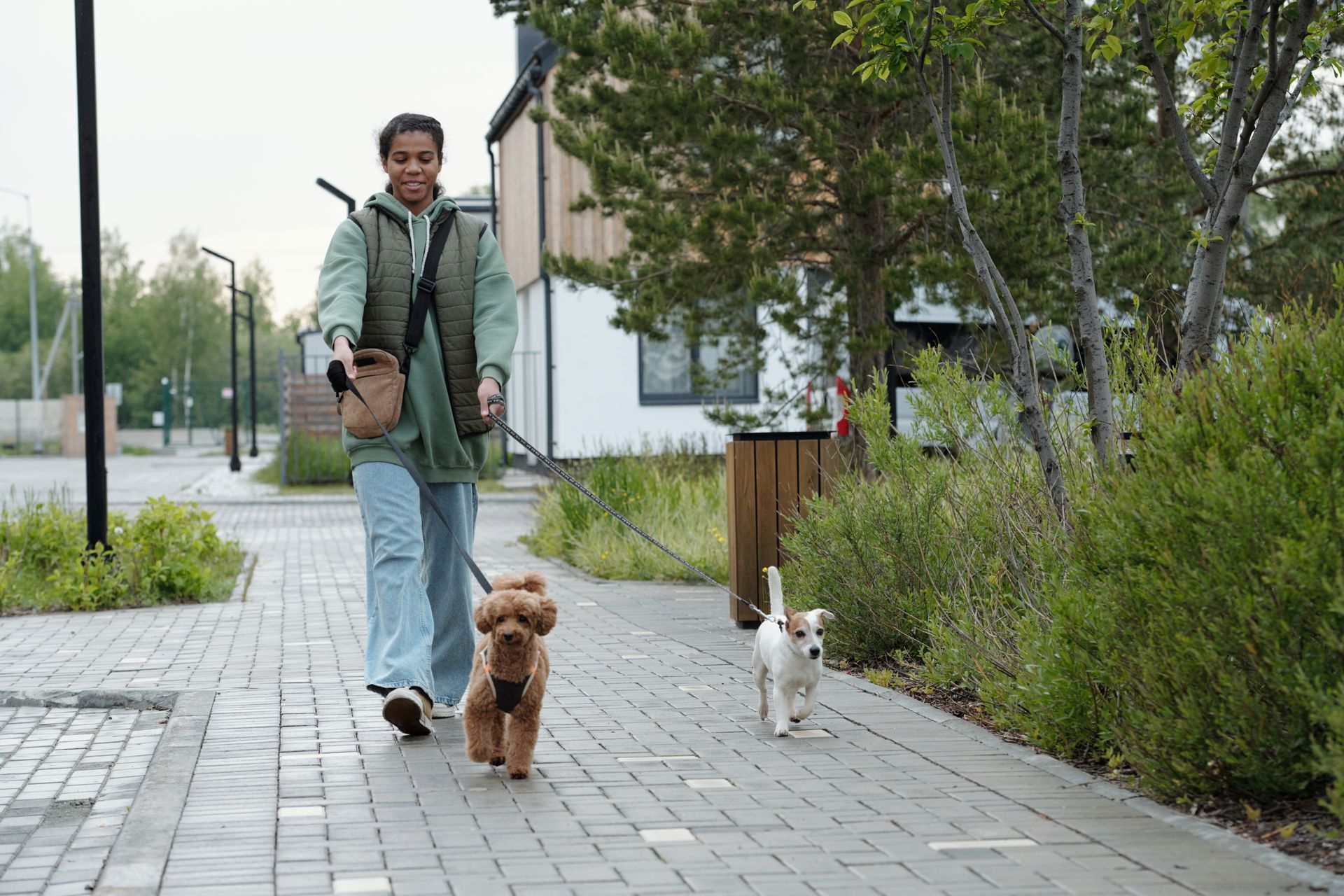Woman walking two dogs on a brick path, wearing a vest and carrying a bag.