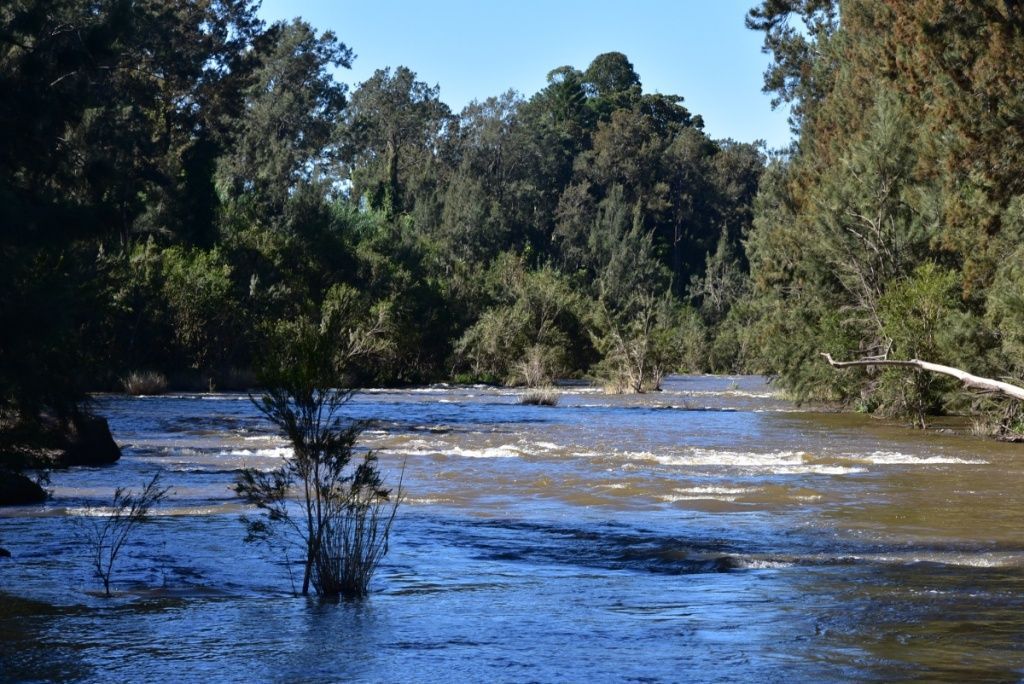 River Flowing Through a Lush Green Forest Under a Bright Blue Sky — Rob Powell Plumbing Pty Ltd in Alstonville, NSW