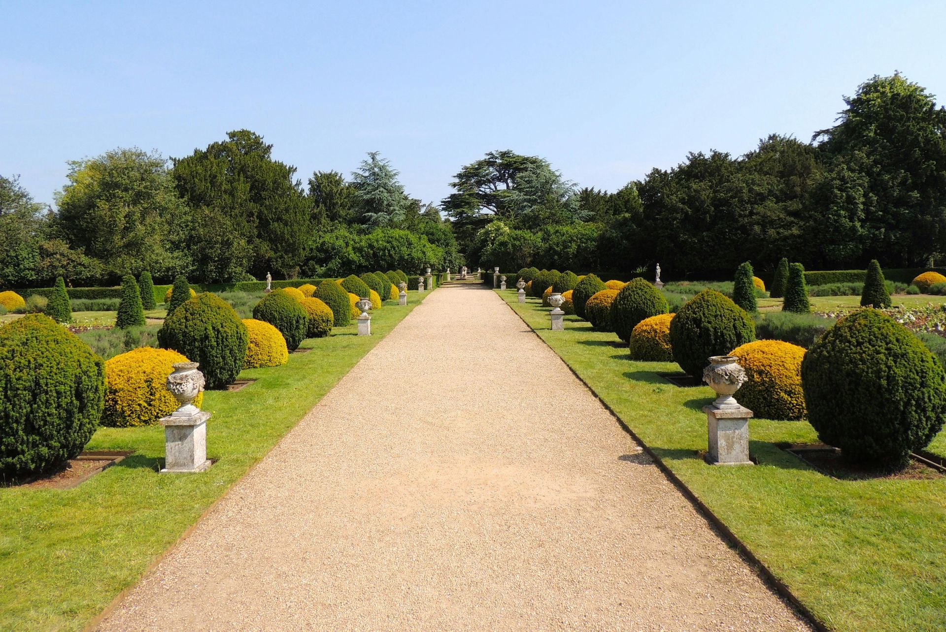 ✔ Multiple suppliers in one place
You do not have to spend all of your day moving from one nursery to the other , just browse the biggest seedling marketplace