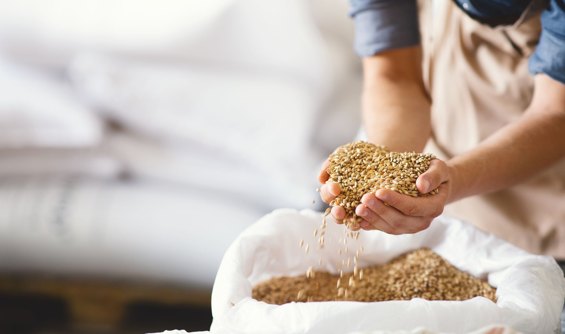 Small Business Marketing