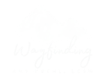 A white background with a few lines on it