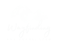 A white background with a few lines on it