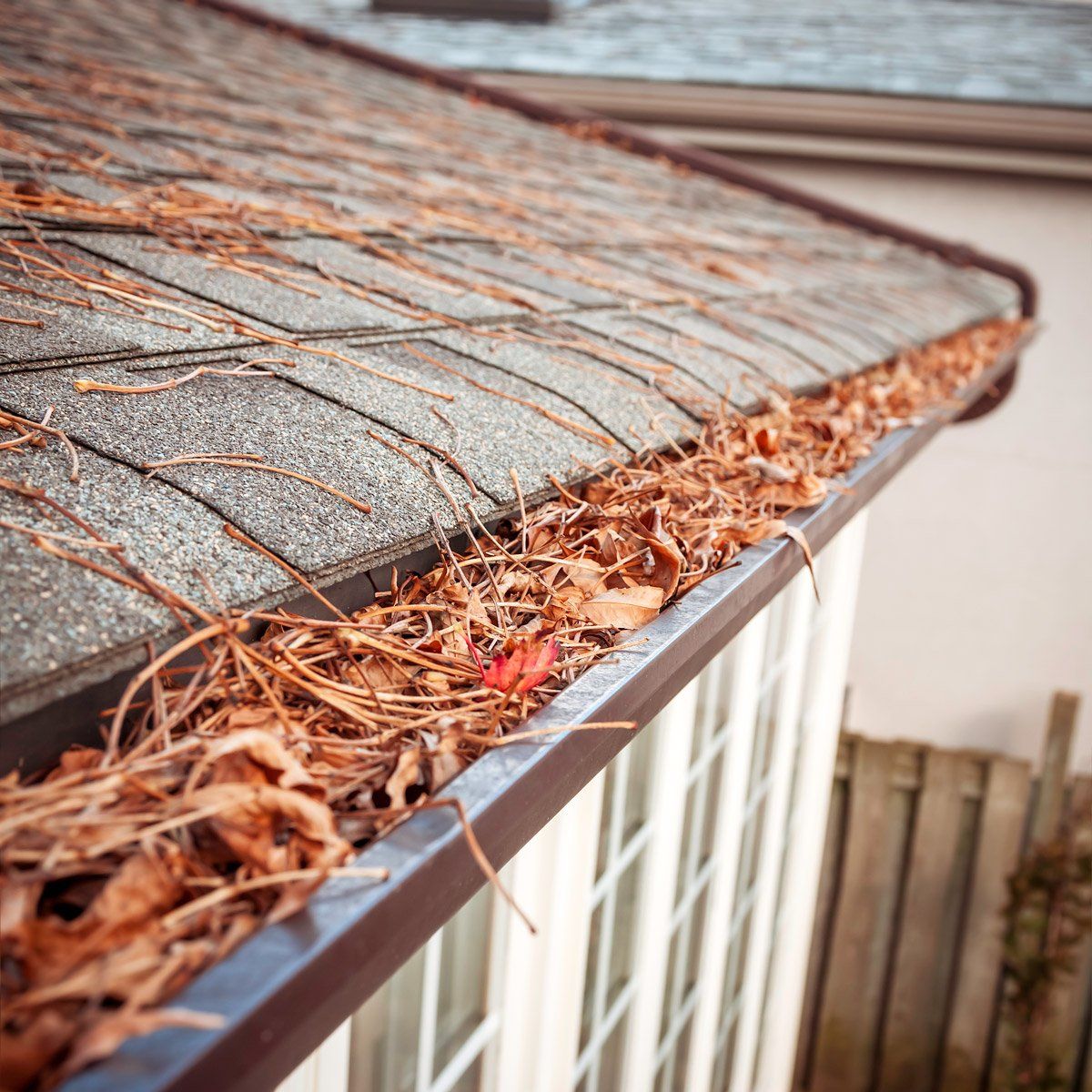 Eavestrough Clogged with Leaves — Webster, MA — Hubert Painting
