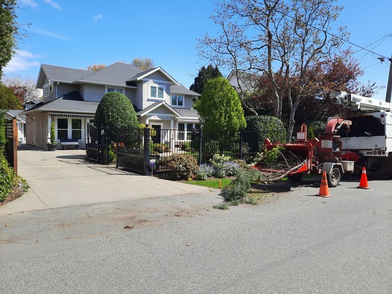 "Top Tree Service" Tree Service Victoria BC