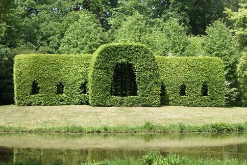 Complete Hedge Trimming Victoria BC, Custom Hedge Work, Tree Care Services, Hedge Maintenance