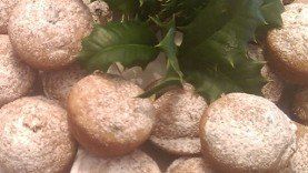 Sweetopia™ of Greenville, Delaware.