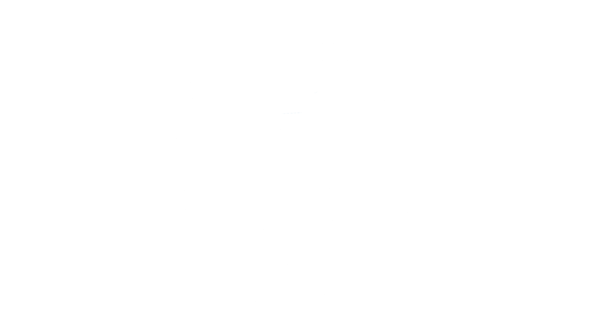 red spray bottle icon with the words 'satisfaction guaranteed'
