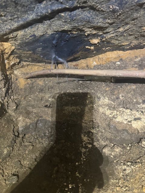 A shadow of a person is cast on a rock in a cave