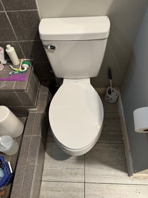 A white toilet is sitting in a bathroom next to a toilet paper dispenser