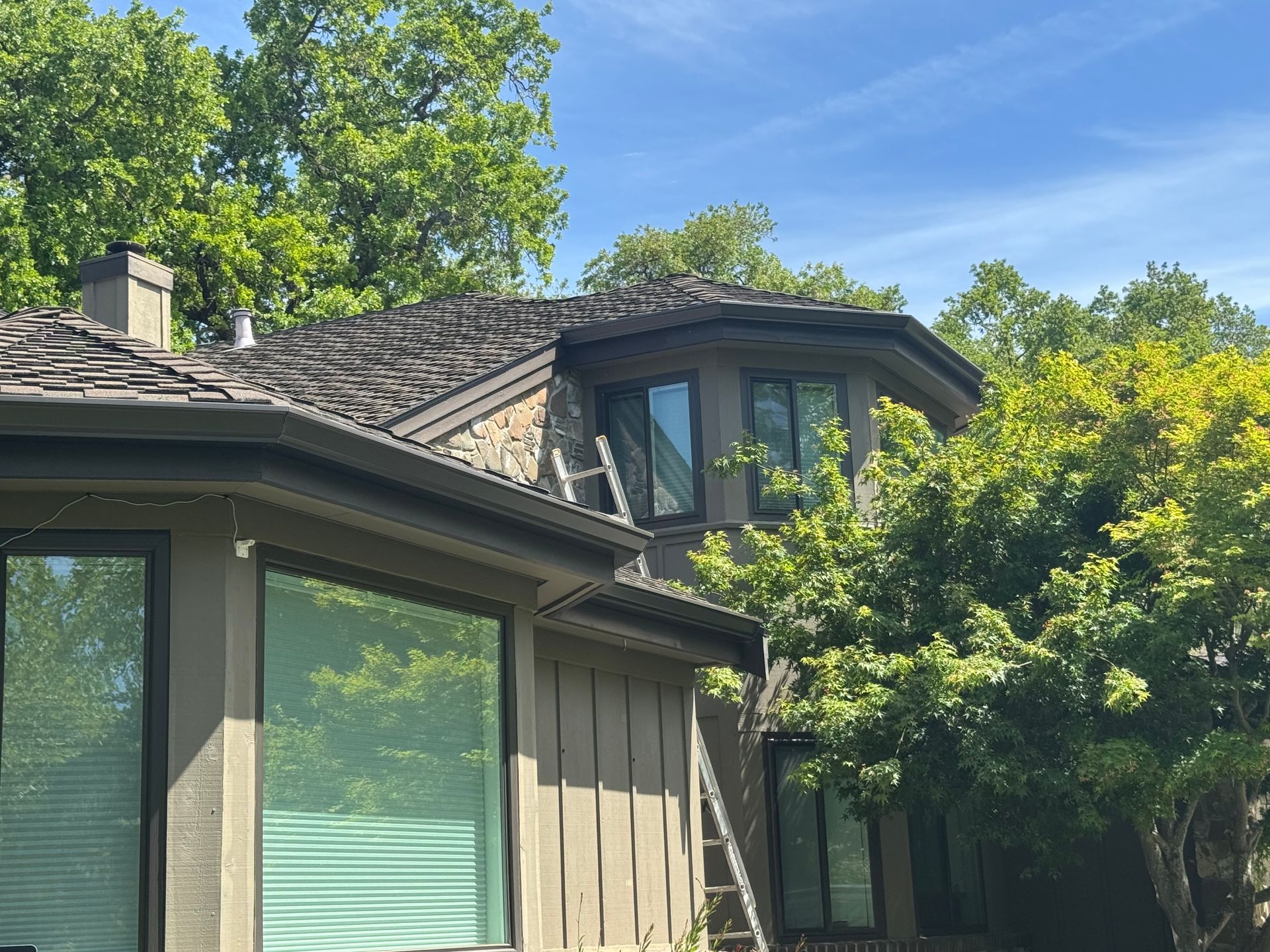 dark gutters