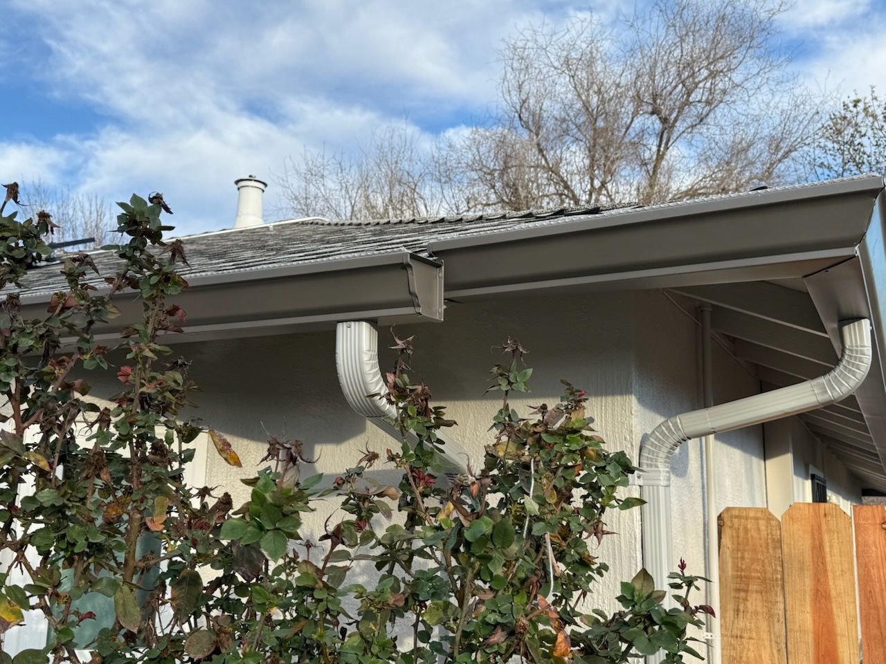 gutters near shrubs
