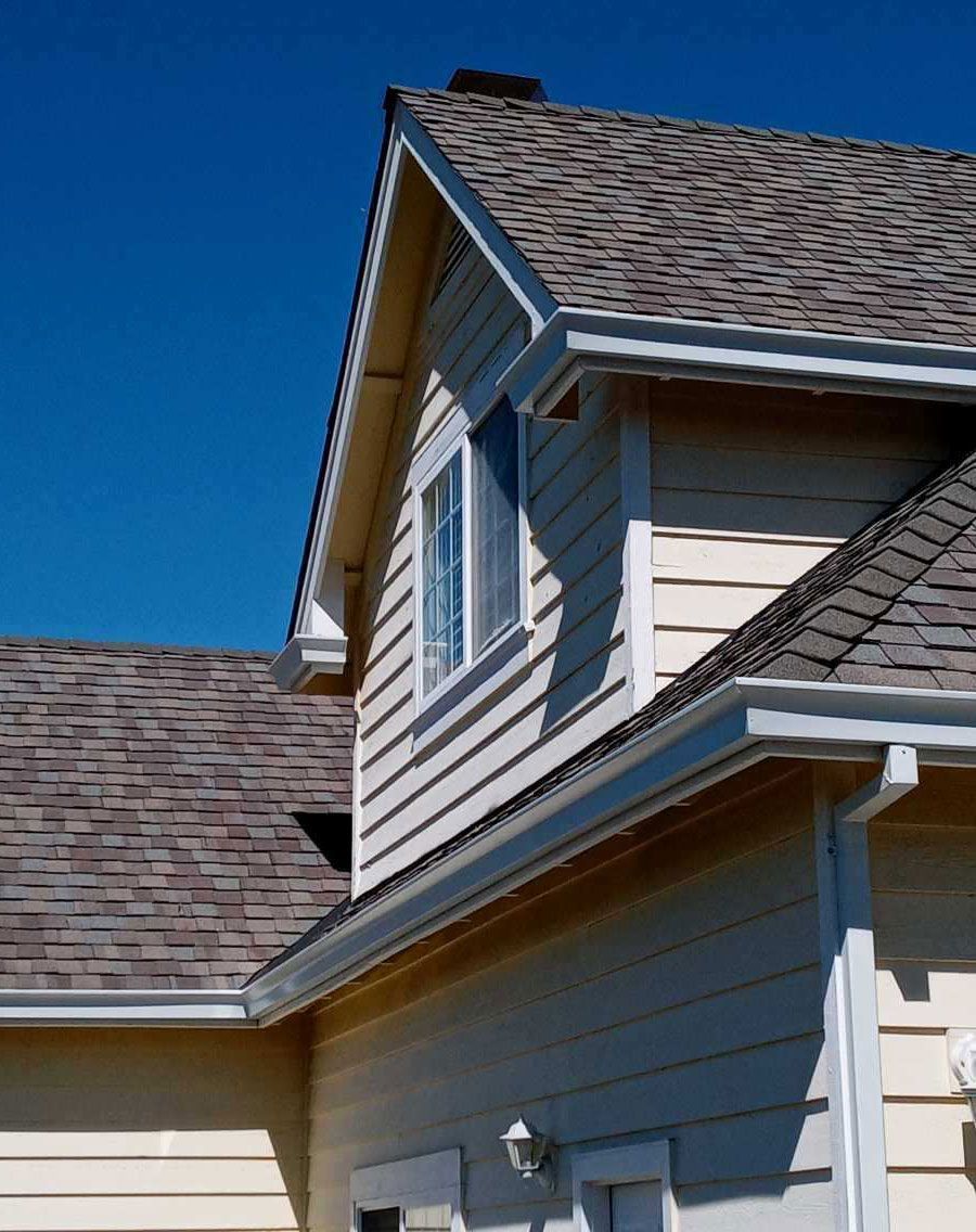 gutter services