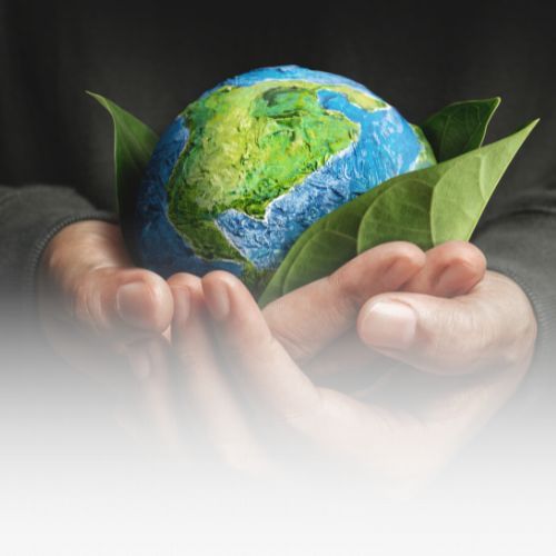 earth day workshops, schools workshops uk, workshops for schools, find school workshops