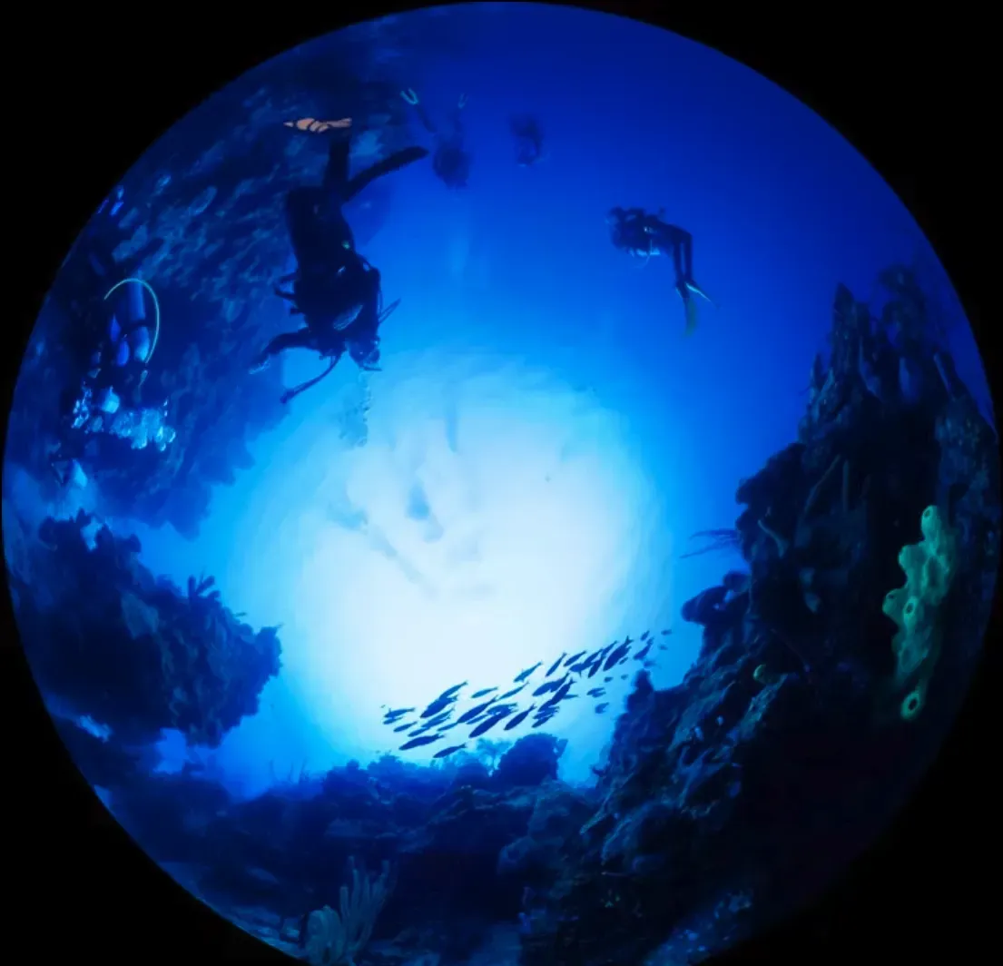 Bring the Universe to your School solar system