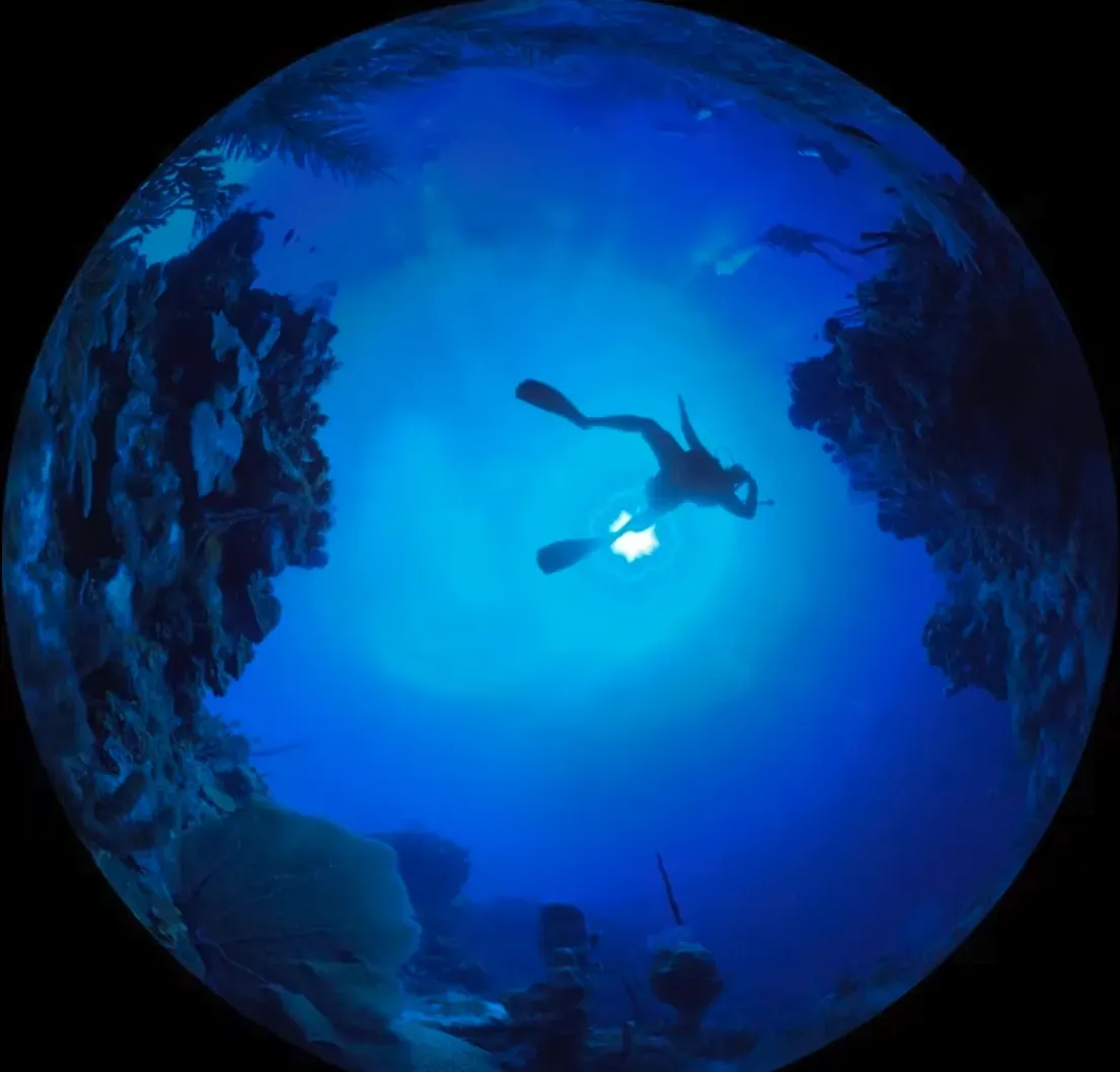 Bring the Universe to your School constellations