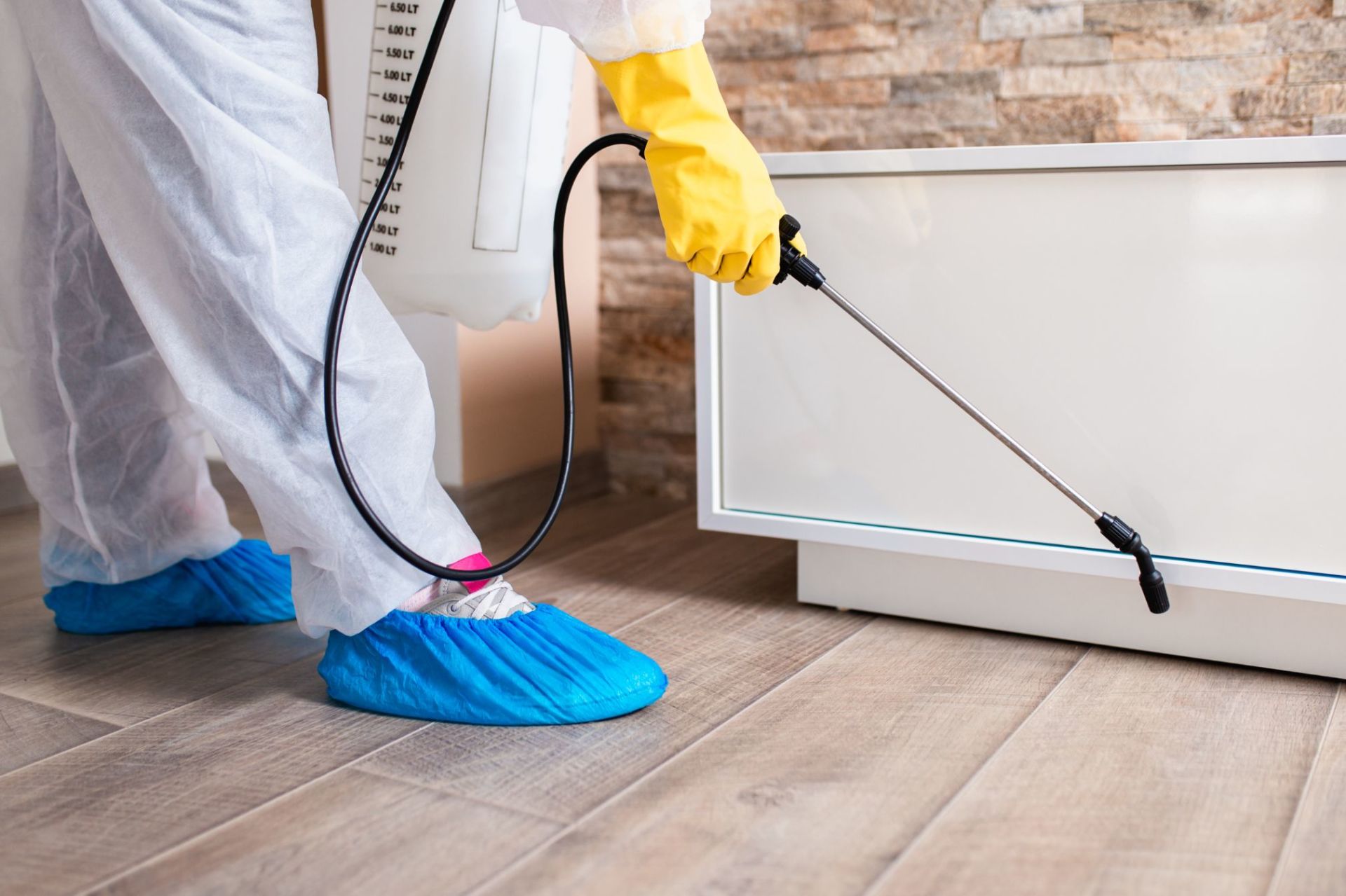 intervento di derattizzazione