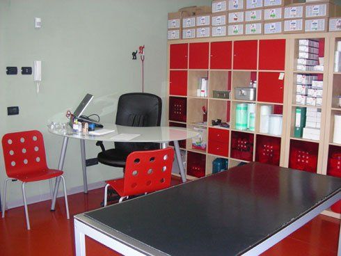 Interno ambulatorio veterinario