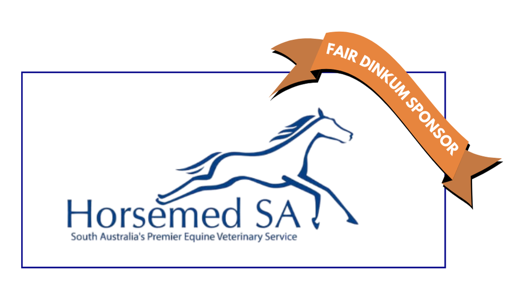 Horsemed SA logo