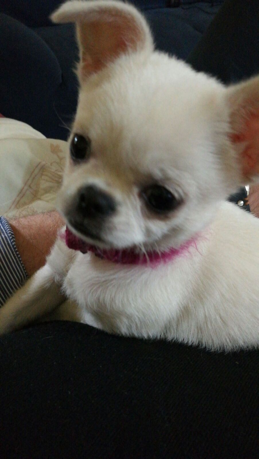 attività ricreative e all'aperto svolte dagli anziani della Residenza Villa Silvana a Salice Terme