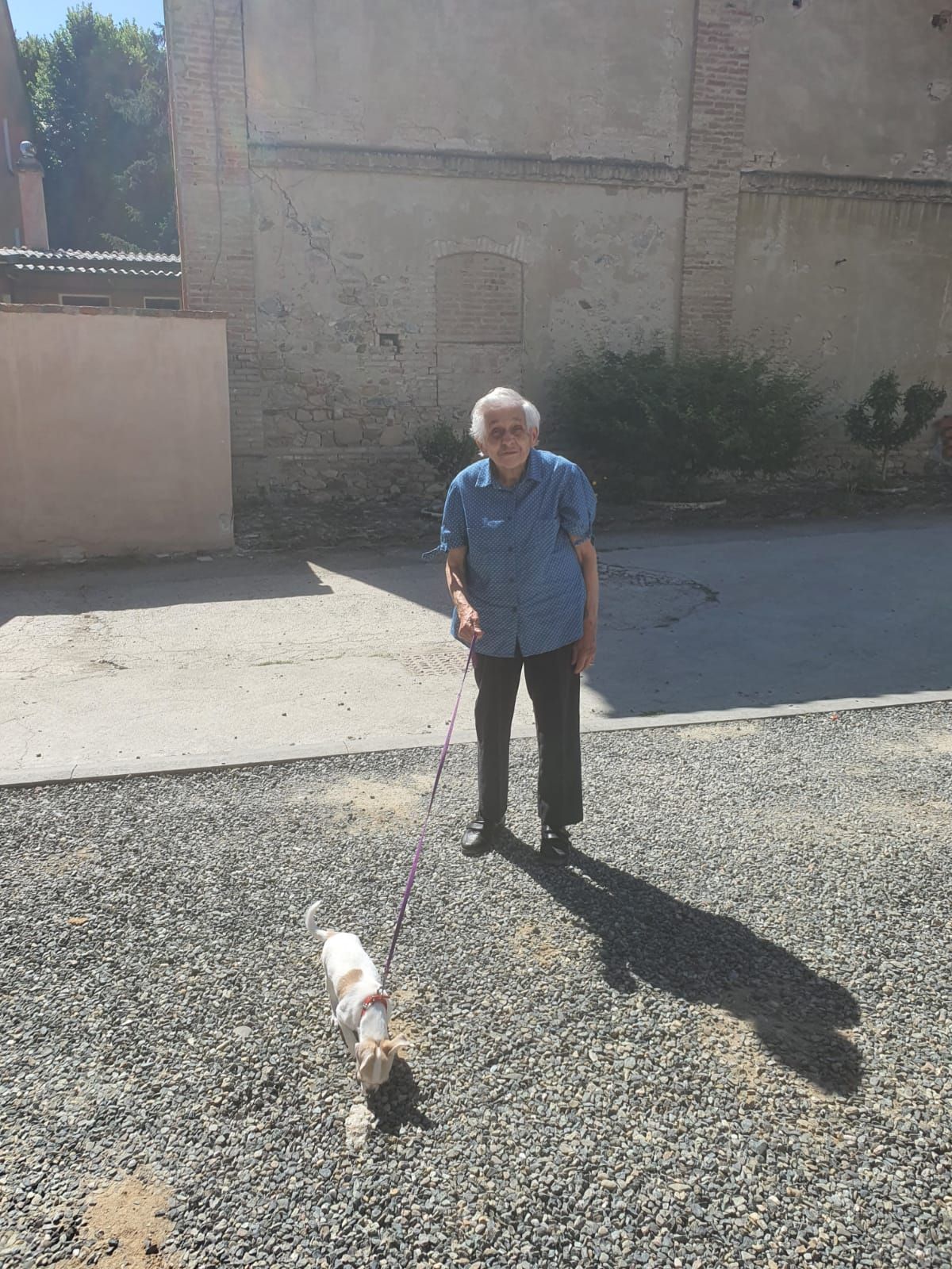 anziani della Villa Silvana in provincia di Pavia che svolgono attività all'aperto