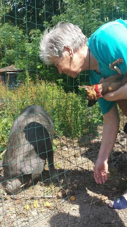 attività ricreative e all'aperto svolte dagli anziani della Residenza Villa Silvana a Salice Terme