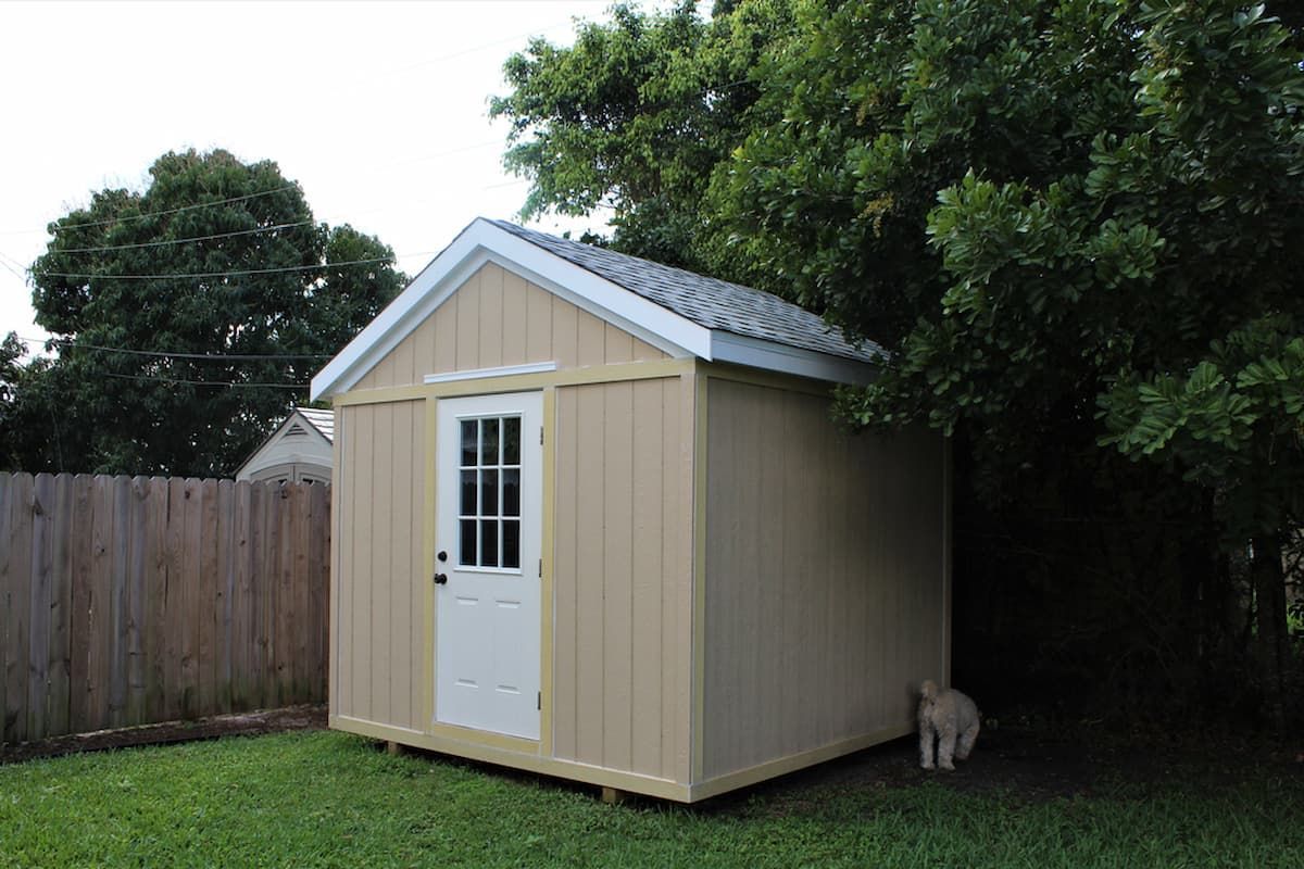 A Dog Is Standing in Front of A Shed in A Backyard — All Steel Homes in Branyan, QLD