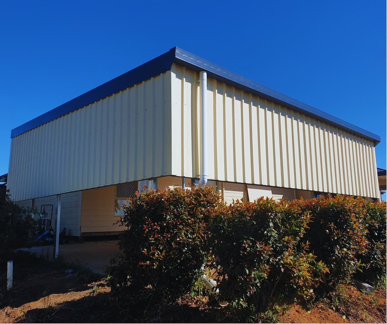A White Building with A Blue Roof Is Surrounded by Bushes — All Steel Homes in Branyan, QLD