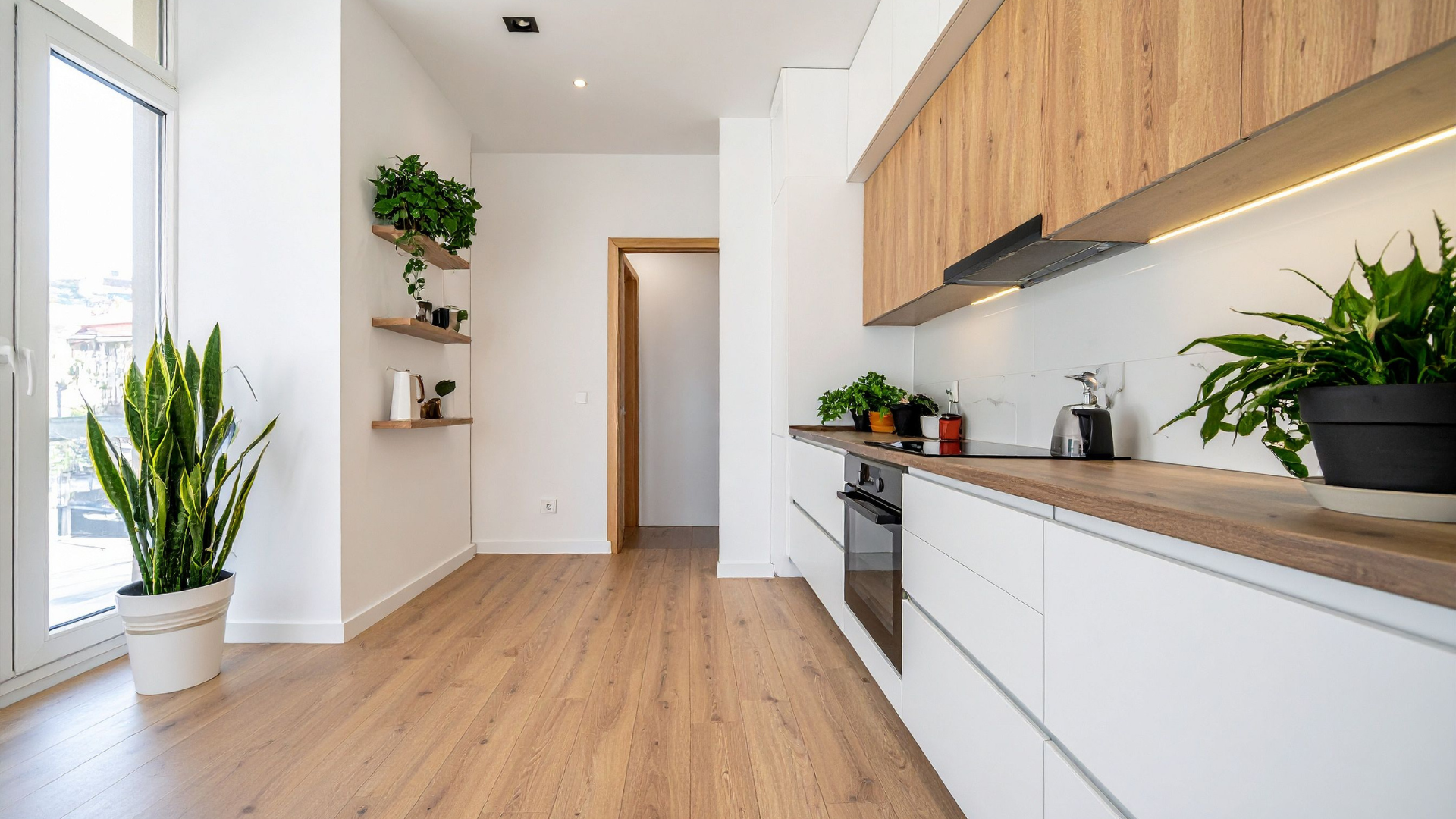 Modern kitchen with light wood cabinets, white counters, plants, and wood floors.