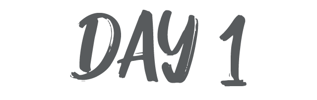 day 1