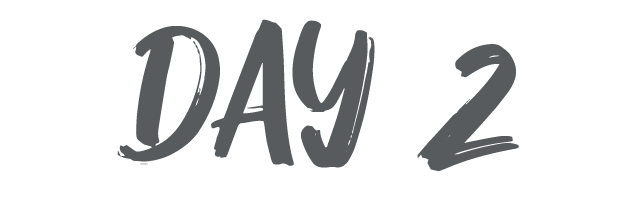 Day 2