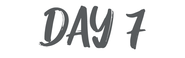 day 4