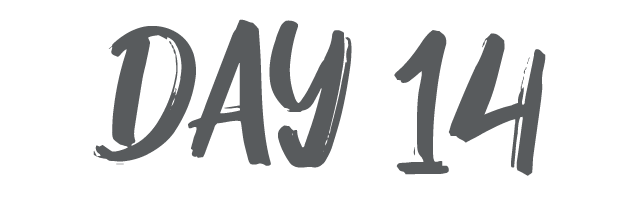 day 4