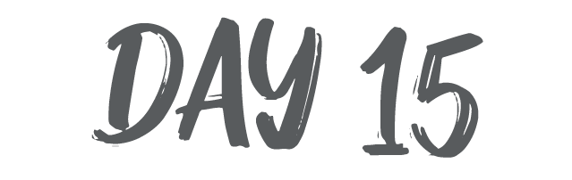 day 4