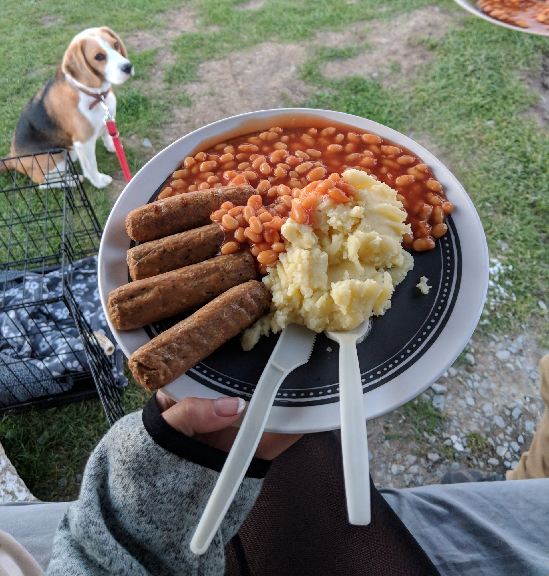 camping food meals