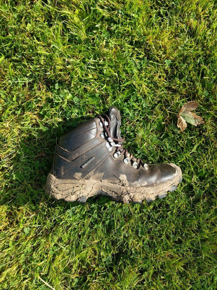 Peter Storm Women's Water Resistant Walking Leggings, Ladies Walking  Leggings, Outdoors, Travelling, Camping, Trekking, Hiking and Walking  Clothing, Black, 8 : : Fashion