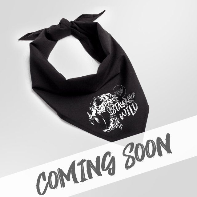 DOG BANDANAS