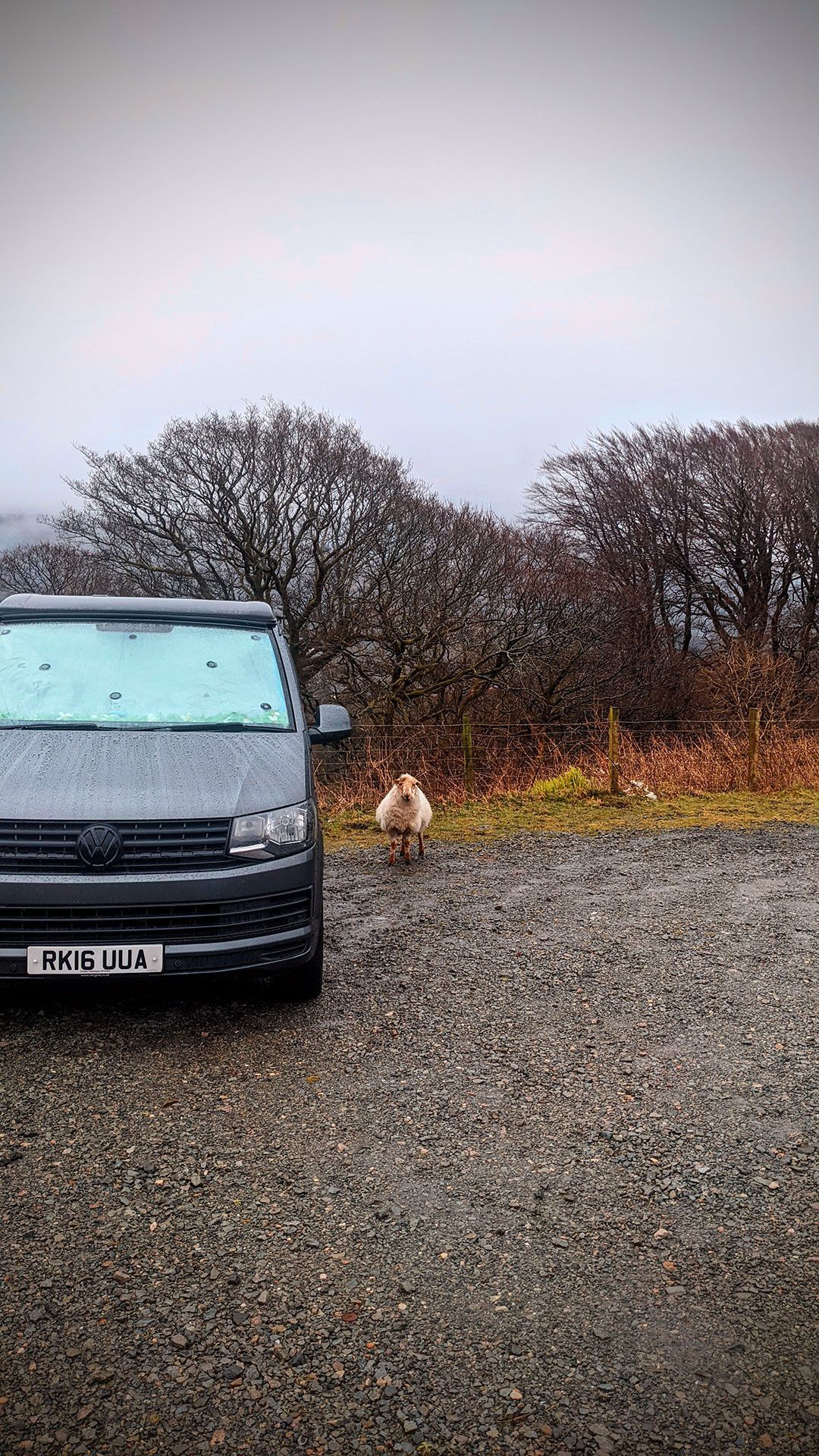 CAMPING IN LLANBERIS CAMPSITE AND GLAMPING YURTS