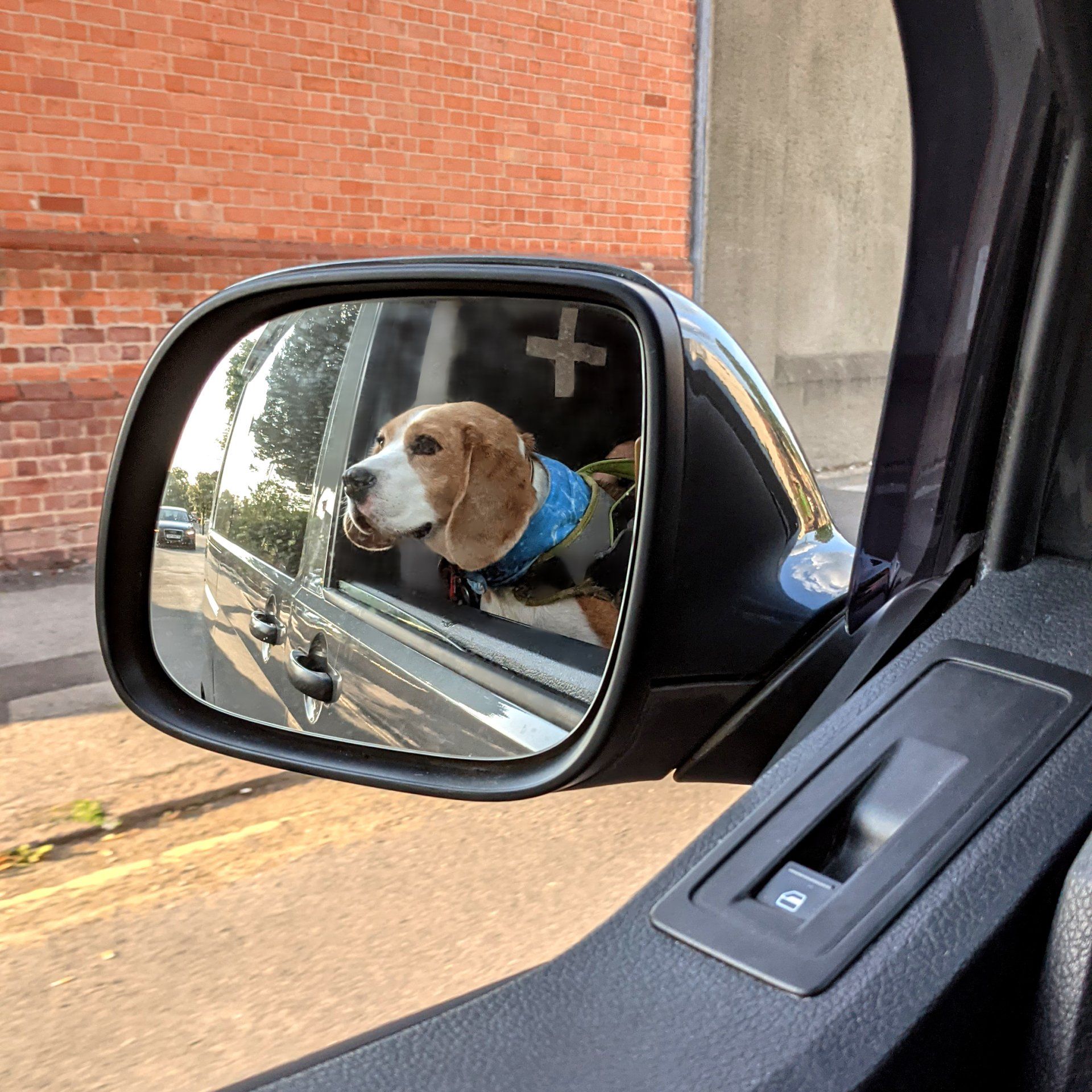 CAMPING/TRAVELING WITH DOGS IN HOT WEATHER