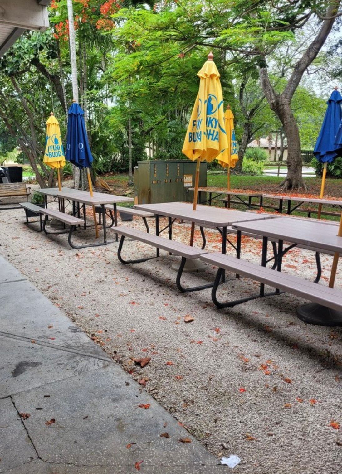 A row of picnic tables and umbrellas in a park