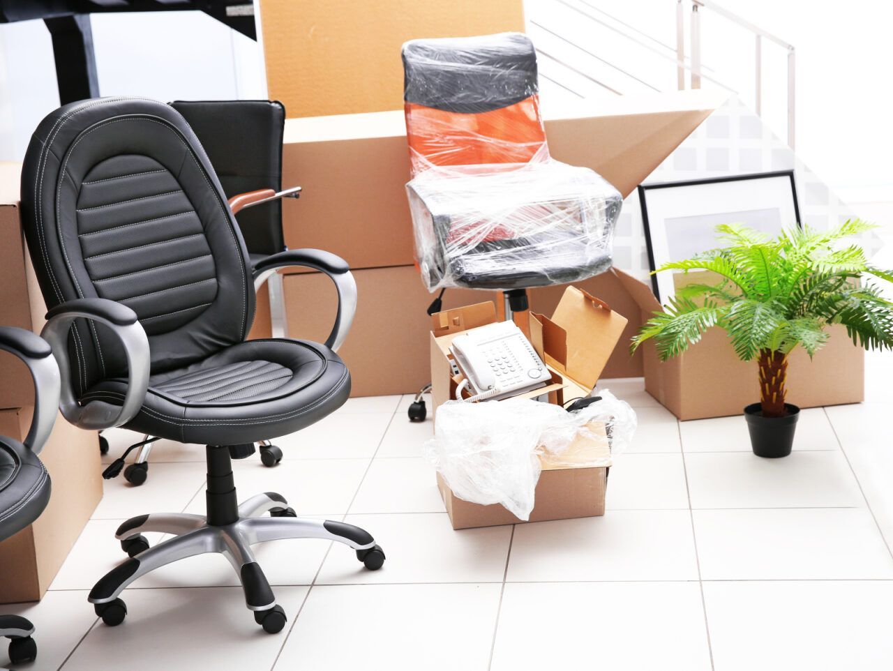 Office Chairs, Boxes, and a Plant in an Office Setting — John's Furniture Removals in Noosa Heads, QLD