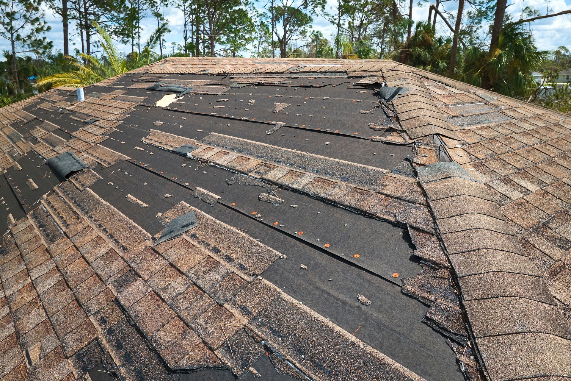 Damaged brown asphalt shingle roof. Missing shingles reveal black underlayment.