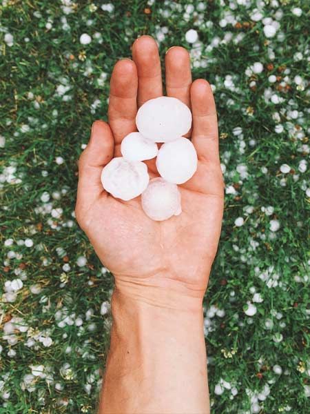 Hand holding hail stones over a green lawn covered in small hail.
