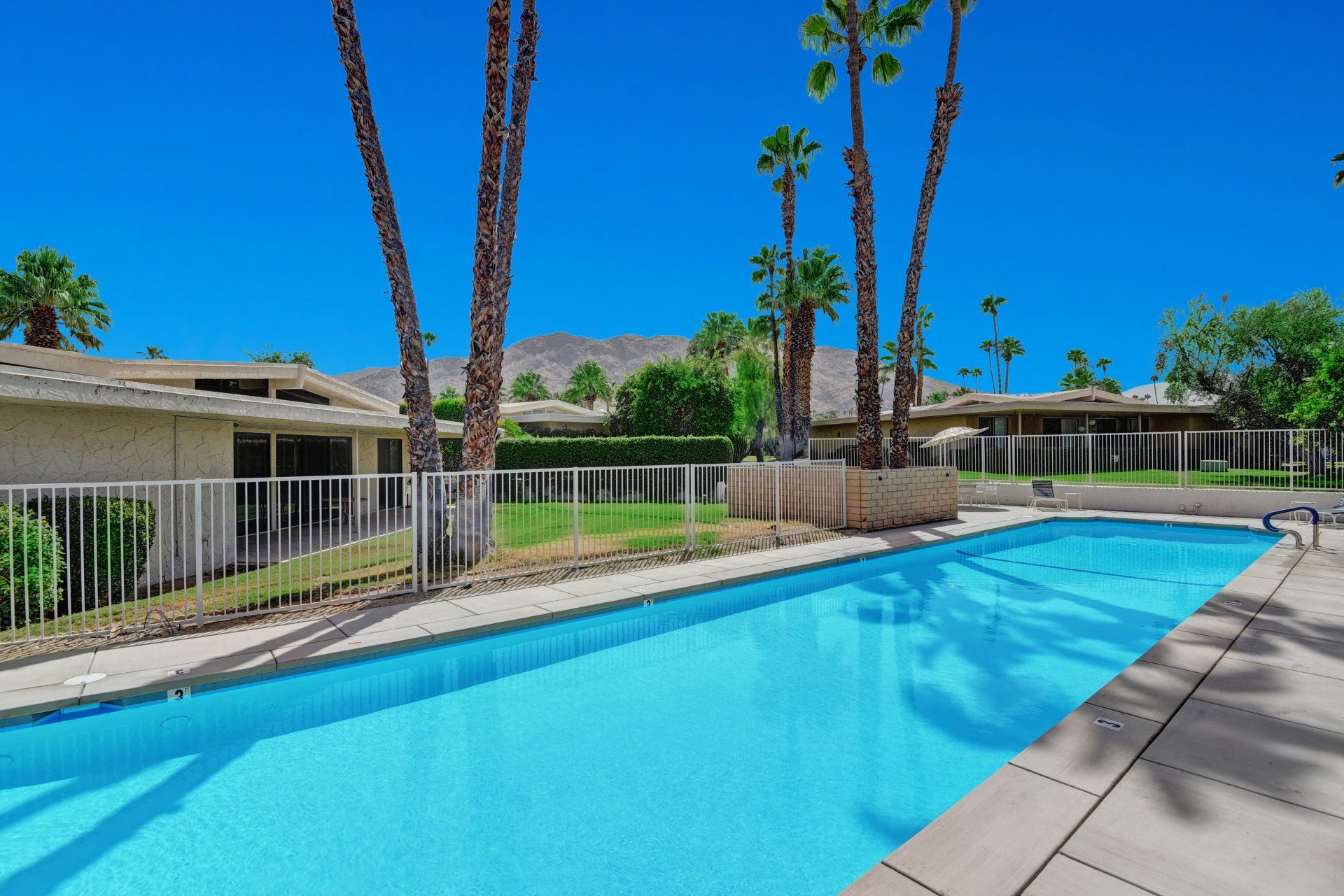 A large swimming pool with palm trees in the background