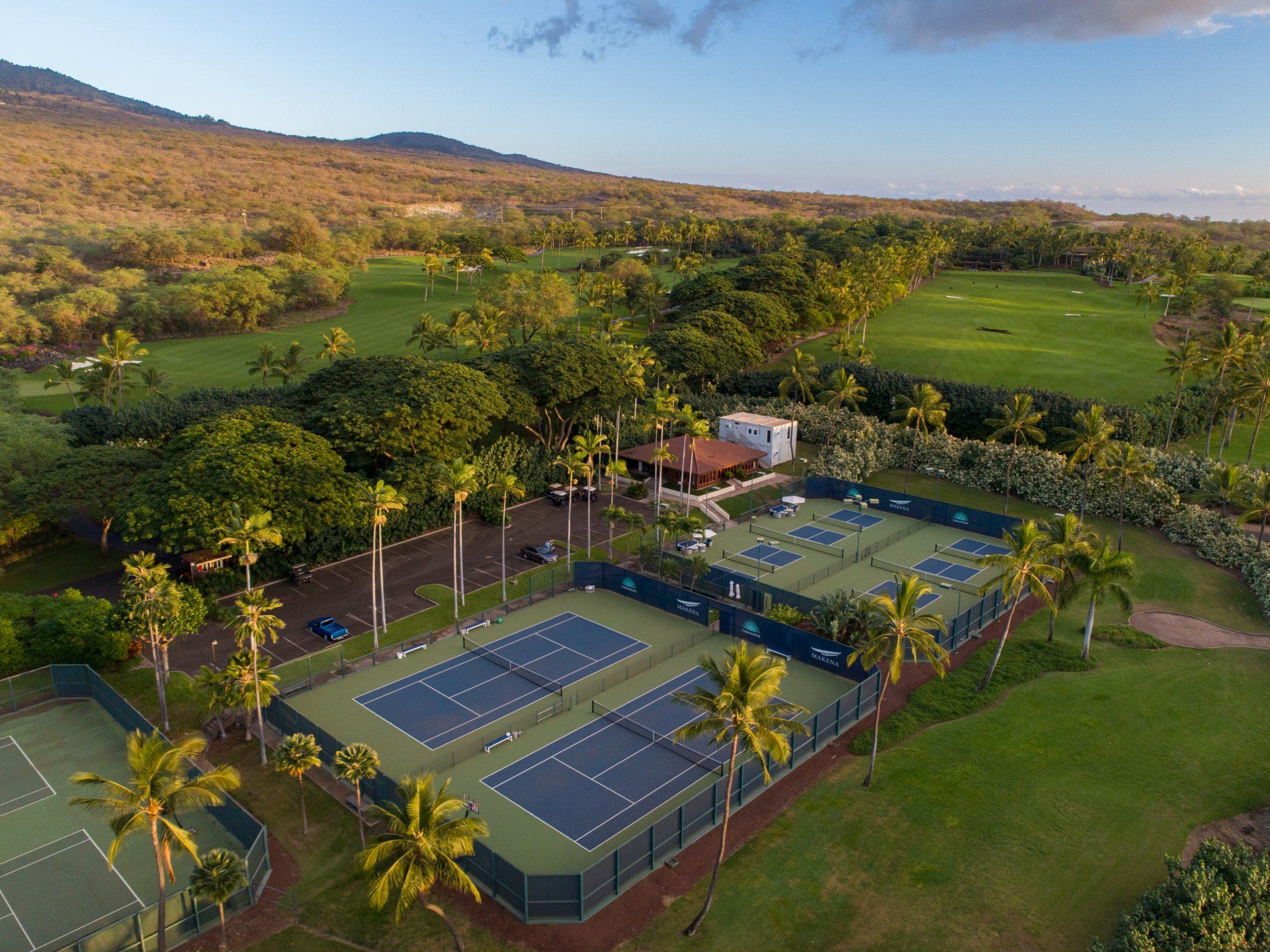 An aerial view of a tennis court surrounded by palm trees