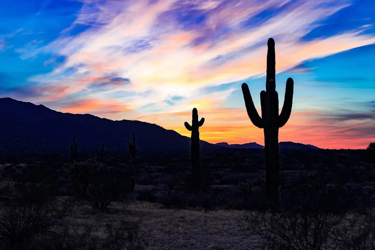 Two saguaro cactus silhouetted against a sunset sky