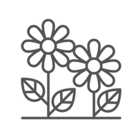 um desenho de três flores com folhas em um fundo branco.