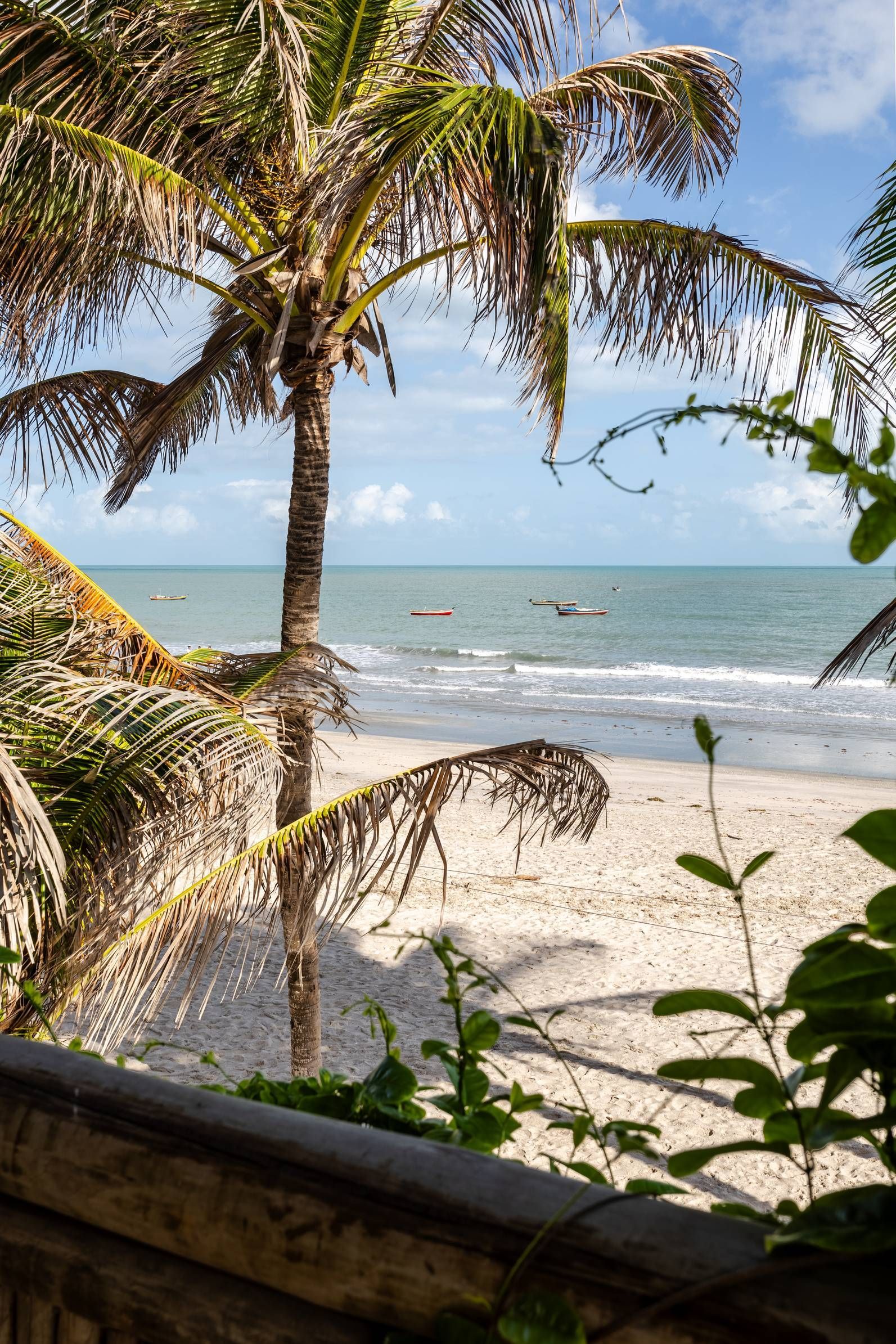 um veleiro está flutuando no topo de uma praia arenosa.